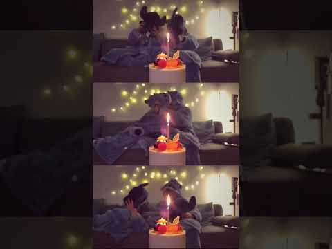 I just want to be happy like this forever | Daman & Xiaoyuan #bl #jenvlog #bltiktok - BL Couple サムネイル
