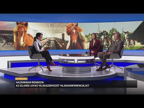 Hazánkban rendezik az Izlandi Lovas Világszervezet világkonferenciáját サムネイル