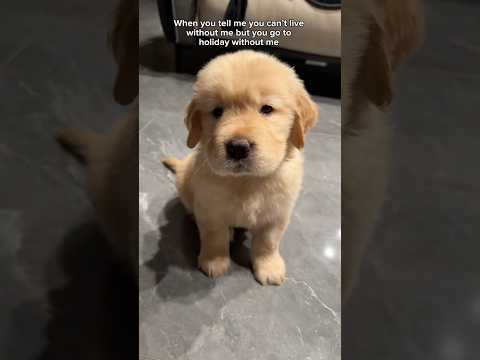 So you actually can live without me ? 🥲🤏 サムネイル