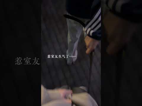I made my roommate angry... Hai Yan & Zhi Shi #bl #bltiktok #lgbt #jenvlog #đammỹ - BL Couple サムネイル