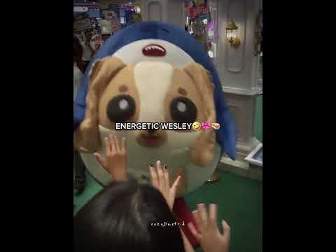 WESLEY🤣🤣🤣🤏🏻 #wesley #williamest #est_rvp #williamjkp #gmmtv #fyp #blshorts #bl サムネイル