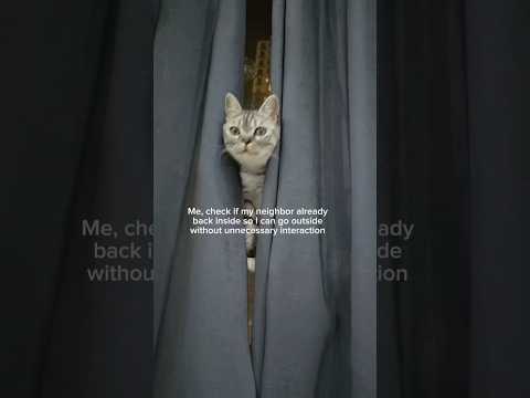 living as an introvert 🐾 サムネイル