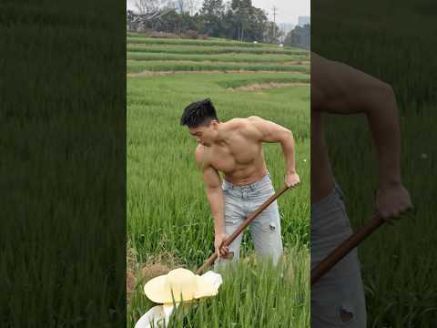 Boys | BL video | Asian Men | #body #boy #boyfriend #gay #bl #tiktok #trending #asian #shorts #fyp サムネイル