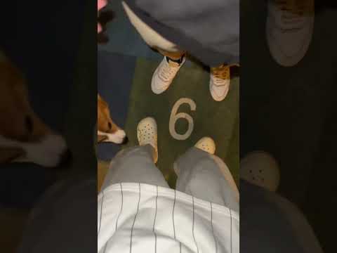 We got together while jumping | #bl #lgbt #jenvlog #bltiktok #blvlog - BL Couple サムネイル