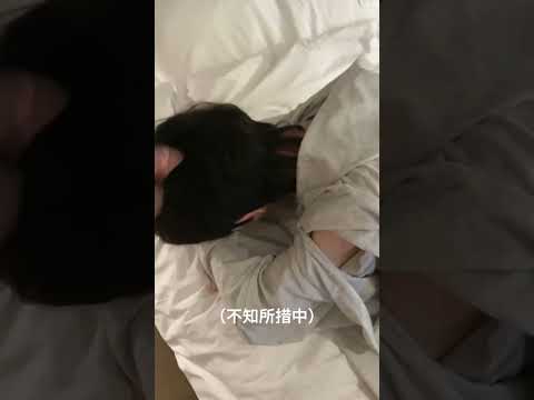 What should I do if I accidentally bite my roommate and make him cry? #bl #lgbt #jenvlog - BL Couple サムネイル