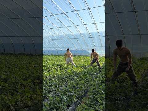 Boys | BL video | Asian Men | #body #boy #boyfriend #gay #bl #tiktok #trending #asian #shorts #fyp サムネイル