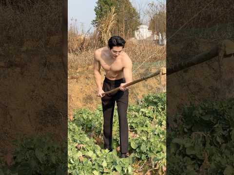 Boys | BL video | Asian Men | #body #boy #boyfriend #gay #bl #tiktok #trending #asian #shorts #fyp サムネイル