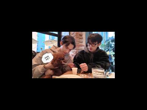 Lele vlog with his parents 🐶❤️#bl #jiangli #abodesire #cbl サムネイル