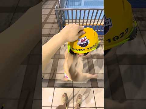 BL TikTok Video /소년 사랑 소년 /boy Love boy #boylove #blshorts #bltiktok #bl #boyloveboy #foryou #fyp サムネイル