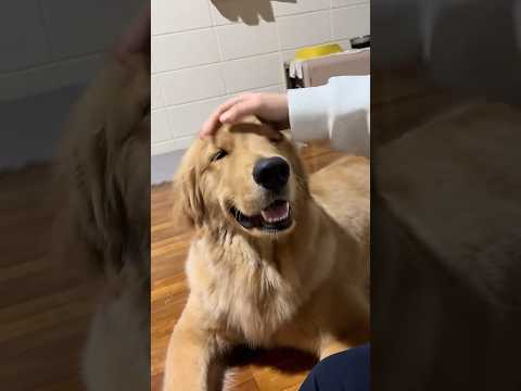 It’s giving love booming, please be consistent of your love human 😒😂🤏 サムネイル