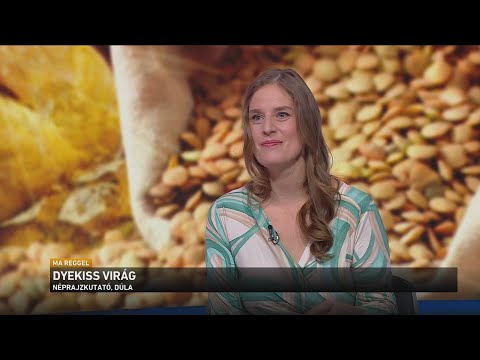 Szilveszteri és újévi babonák, hiedelmek és népszokások サムネイル