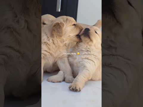 🤏🥰 サムネイル