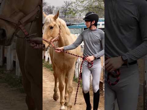 Boys | BL video | Asian Men | #body #boy #boyfriend #gay #bl #tiktok #trending #asian #shorts #fyp サムネイル