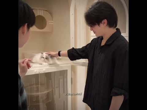 papa william with abel🤏🏻🎀 #williamjkp #gmmtv #fyp #blshorts #bl #williamest サムネイル