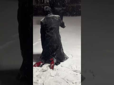 BL TikTok Video /소년 사랑 소년 /boy Love boy #boylove #blshorts #bltiktok #bl #boyloveboy #foryou #fyp サムネイル