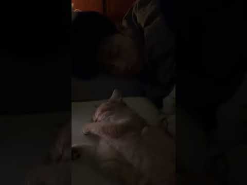 Both little babies are sleeping and I'm dizzy | ddz & 1l #bl #bltiktok #lgbt #jenvlog - BL Couple サムネイル