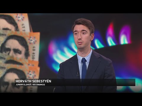 A rezsicsökkentést 2013-ban több lépcsőben vezették be サムネイル