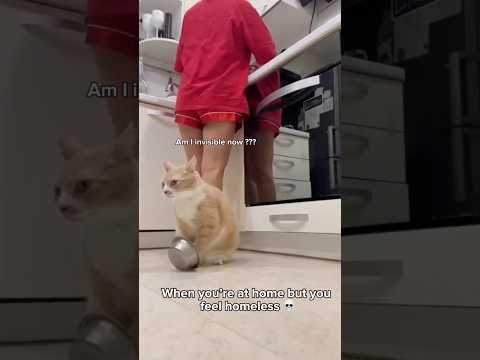 It pisses him off even more that she doesn’t care 🤣😂 サムネイル
