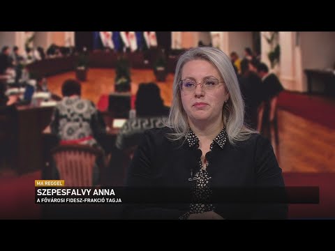 Politikai szócsatározások a Fővárosi Közgyűlés idei első ülésén サムネイル