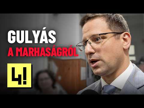 Gulyás: Semmilyen módon nem hátráltattam a Fidesz kampányát, sőt サムネイル