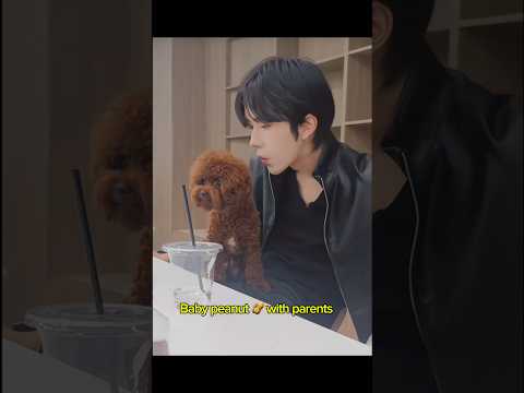 We need an update of family moments and pictures🥹😌 サムネイル