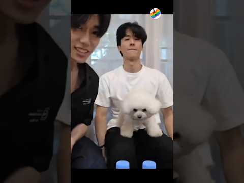 gmmtv idols😅🤣@Thaibls7 #pondponlawit#geminifourth#tawan_v#fun#bl#blactor#song#funny#comedy #shorts サムネイル