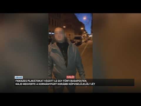 Fideszes plakátokat vágott le egy férfi Budapesten サムネイル