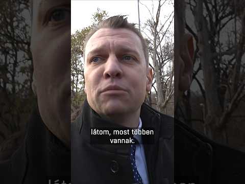 Menczer: Táncoljak önöknek? サムネイル