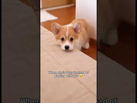 Can you give me more attention? I feel lonely 🥹 サムネイル