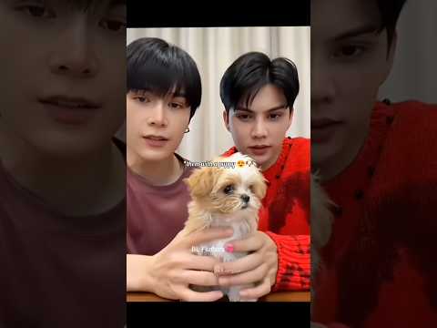 Them with their son😍🐶#fortpeat #thaibl #blshorts #bl #blseries #thaidrama #bldrama #bledit #newbl サムネイル