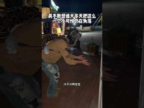Wang Yi & Lian Lian #bl #jenvlog #gay #lgbt #bltiktok - BL Couple サムネイル