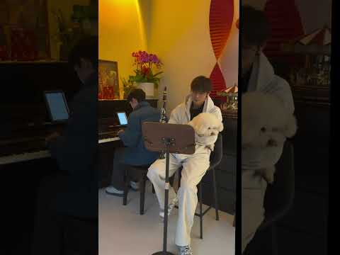 Today is just an ordinary day, because every day is Valentine's Day for us | Jiang Penghan & Hu Jing サムネイル