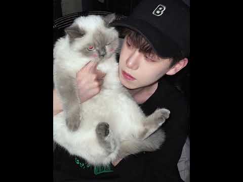 Me and my kitten | Jiang Feng & Dong Dong #bl #bltiktok #lgbt #jenvlog - BL Couple サムネイル