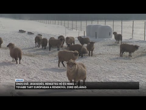 Továbbra is jelentős fennakadásokat okoz az ónos eső és a jegesedés Németországban サムネイル