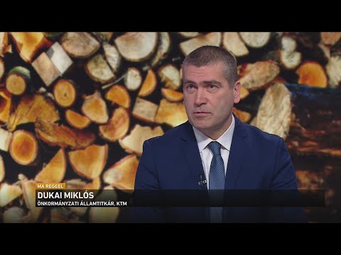 Ingyenes tűzifával segíti a rászorulókat a kormány サムネイル