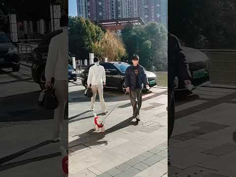 Jiang Penghan & Hu Jing #bl #jianghu #bltiktok #blvlog #lgbt - BL Couple サムネイル