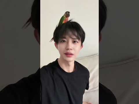 Why does it keep trying to fly onto my head? | #bl #bltiktok #lgbt #jenvlog #đammỹ - BL Couple サムネイル