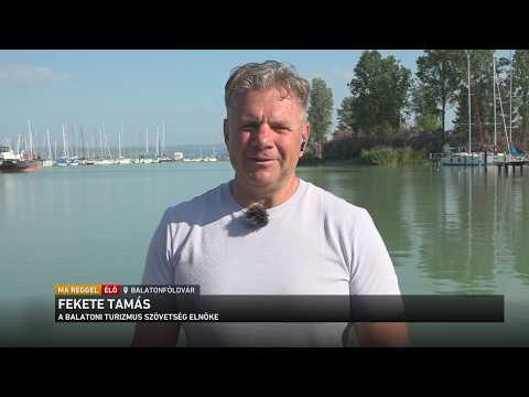 Megválasztották a Balaton fagyiját サムネイル