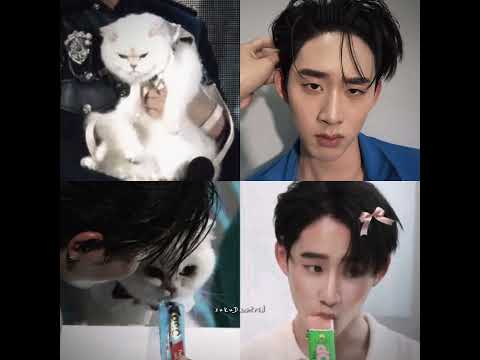 kittens😭 #williamest #est_rvp #williamjkp #gmmtv #fyp #blshorts #bl サムネイル