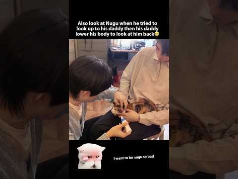 My parents looks so soft and loving, I just love their moments with my siblings 🤧❤️ サムネイル