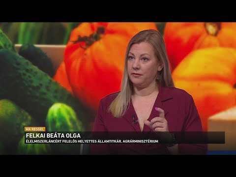 Több mint 240 kockázatos termék miatt kellett intézkedni tavaly Magyarországon サムネイル
