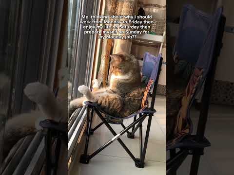 Like why I can’t just live ??😭 サムネイル