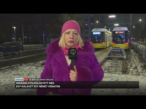 Migráns gyilkolhatott meg egy kalauzt egy németországi vonaton サムネイル