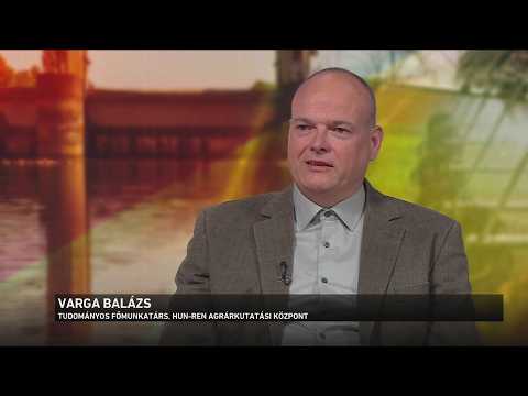 Súlyos az aszályhelyzet Magyarországon サムネイル