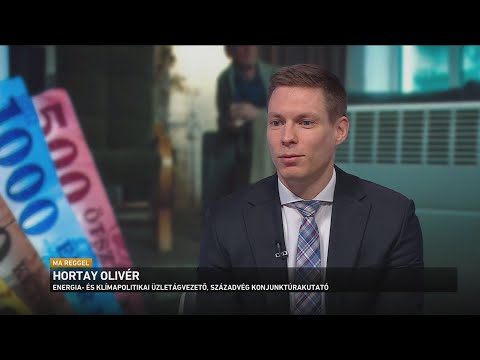 Egy héten belül kidolgozza az energiaügyi minisztérium a januári rezsistop részletszabályait サムネイル