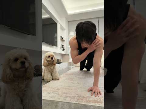 BL TikTok Video /소년 사랑 소년 /boy Love boy #boylove #blshorts #bltiktok #bl #boyloveboy #foryou #fyp サムネイル