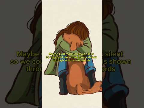 My pets are my home and the place I feel love the most 🥹 サムネイル