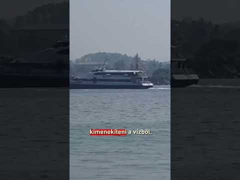 Azt hitte, biztonságban van a nemzetközi vizeken, ehelyett egy torpedó küldte a mélybe サムネイル