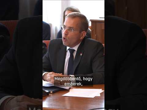 Virtuális forradalom a Karmelitában サムネイル