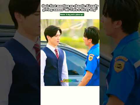 (ep1) 1st meeting already name basis " Mr tofu - Stray dog"😅😂#bl#blseries#shorts#taynew #thaibl